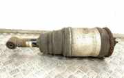 Stoßdämpfer links hinten Land Rover Range Rover Sport (L320) RPD500184