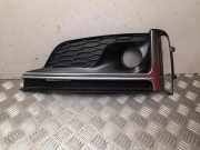 Gitter AUDI A5 (F53) S5 quattro 8W6807681L