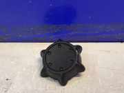 Zierleiste Saab 9-3 Kombi (YS3F) 12800996