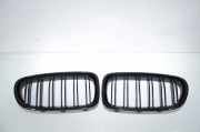 Vorderer oberer Gitter BMW 5 (F10) 525 d 7203650