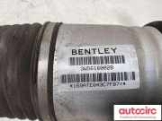 Gasdruckfeder Bentley Continental Flying Spur (3W) 3W5616002A