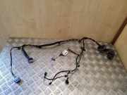 Türverkabelung hinten links PEUGEOT 508 1.6 HDi 9677996680