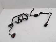Kabel Tür Volvo S80 I (184) D30795065003