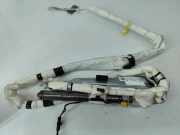 Airbag Dach links VW Tiguan I (5N) 5N0880742K