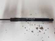 Heckklappendämpfer rechts Toyota Avensis (T25) 6895005081