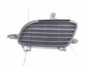 Kühlergrill links Mercedes-Benz A-Klasse (W169) 1698850122