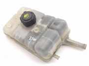 AUSGLEICHSBEHÄLTER KÜHLWASSER RENAULT MEGANE IV (B9A/M_) 1.5 dCi 110 (B9A3) 217101626R