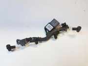 Glühkerzenkabel CITROËN C3 AIRCROSS II 1.6 BlueHDi 100 650320