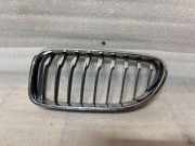 Vorderer oberer Gitter BMW 6 Cabrio (F12) 640 d xDrive 7370389