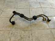 Einspritzleiste VW Passat B5.5 Variant (3B6)