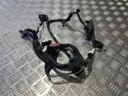 Kabelbaum VOLVO XC70 CROSS COUNTRY 2.4 D5 AWD 30724279