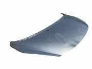 Motorhaube PEUGEOT 207 (WA_, WC_) 1.4 HDi
