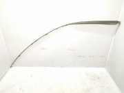 Dachleiste links MERCEDES-BENZ A (W169) A 180 CDI (169.007, 169.307) A1696900330 1696900330