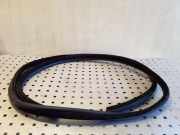 Dichtungsgummi der hinteren Tür (an der Karosserie) BMW 3 Touring (E91) 318 i