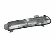 Zusatzlicht vorne links