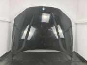 Motorhaube BMW X1 (E84) xDrive 20 d 41002993151