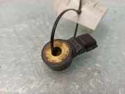 Klopfsensor PEUGEOT 107 1.0 0261231193