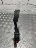Fahrpedal Seat Ibiza IV (6J) 0280755223