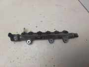 Kraftstoffzuführung NISSAN X-TRAIL (T31) 2.0 dCi H8200610223