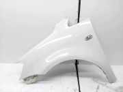 Kotflügel vorne links