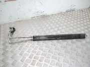 Servolenkungskühler OPEL INSIGNIA A Sedan (G09) 2.0 CDTI (69) S8562001 13286331