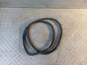 Türdichtung Skoda Octavia III (5E)