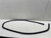 Türdichtung Ford Focus IV (HN) JX7BN253A10AE