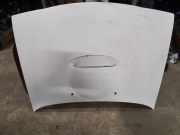 Motorhaube NISSAN TERRANO II (R20) 3.0 Di 4WD