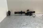 Stoßdämpfer links hinten BMW 5er (F10) 6796859