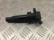 Zündspule KIA SPORTAGE V (NQ5) 1.6 T-GDI 273012B100