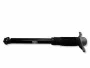 Stoßdämpfer hinten links HYUNDAI IONIQ 5 (NE) EV 55300GI050