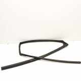 Türgummi rechts hinten Lexus RX 4 (L2) 6814248070