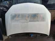 Motorhaube OPEL COMBO Furgon/Estate 1.3 CDTI 16V