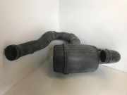 Luftfilterkasten FIAT DUCATO Minibus / passenger (250_, 290_) 160 Multijet 3,0 D 1360694080