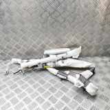 Dach SRS rechts TESLA MODEL 3 EV Performance AWD 1077828-00-E