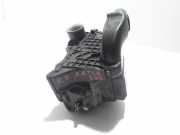 Luftfilterkasten RENAULT ESPACE V (JR_) 1.6 TCe 200 165007121R