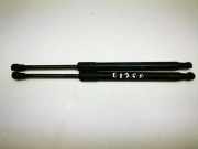 Heckklappe Gasdruckfeder links BMW 1 Cabrio (E88) 118 d 7166758
