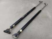 Heckklappe Gasdruckfeder links MITSUBISHI GRANDIS (NA_W) 2.0 DI-D (NA8W)