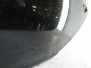 Tür hinten links OPEL INSIGNIA A (G09) 2.0 CDTI (68)