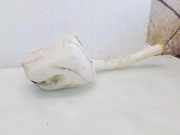 Fensterwaschtank FORD FUSION (JU_) 1.4 TDCi 2S6117618AD