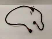 Kabelbaum VW EOS (1F7, 1F8) 1.4 TSI 8Z0972701 1J0972772