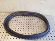 Türdichtung VW Passat B7 (362) 3C9867913B