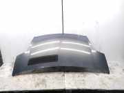Motorhaube Opel Vivaro A Kasten (X83)