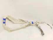 Dach SRS rechts AUDI A4 (8K2, B8) 2.0 TDI 8K0880742B