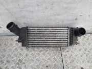 Ladeluftkühler CITROËN C5 I Break (DE_) 2.0 HDi (DERHSB, DERHSE) 9657073480