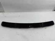 Gitter MERCEDES-BENZ C (W203) C 220 CDI (203.008) 2038800205