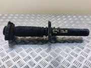 Stoßdämpfer vorne links VW CADDY III Furgon (2KA, 2KH, 2CA, 2CH) 1.9 TDI 1T0420031