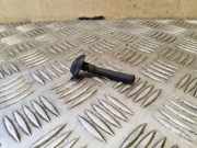 Scheibenwaschdüse Dacia Sandero I (BS)