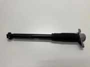 Stoßdämpfer hinten links HYUNDAI IONIQ 5 (NE) EV 553000-M070
