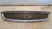 Vorderer oberer Gitter FORD FOCUS II Cabrio 1.6 4M518C436B